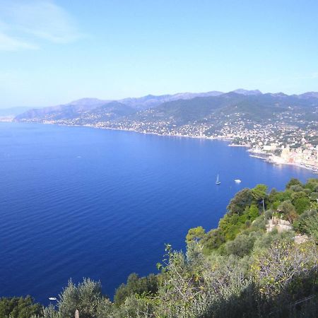 Portofino Mountain Unique Love Nest San Rocco  Exteriör bild