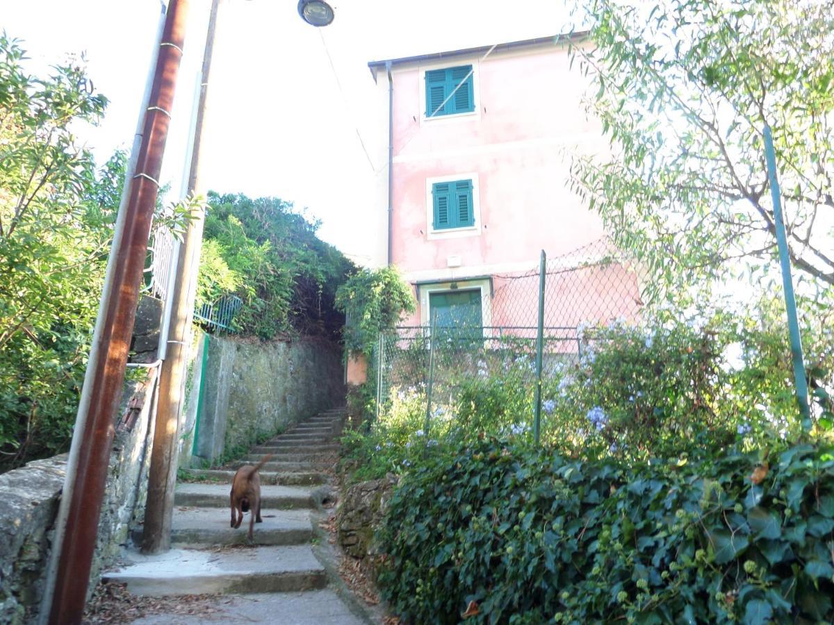Portofino Mountain Unique Love Nest San Rocco  Exteriör bild